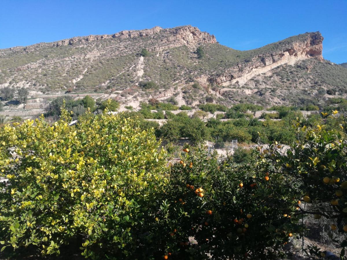 08-02-2019_IMG-20190208-WA0010 - copia.jpg